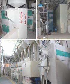 科技賦能，品質(zhì)為本 揭秘大米企業(yè)贏得尊敬與信賴的秘訣